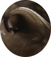 複合鋁基潤滑脂 ULTRAPLEX HAMMER